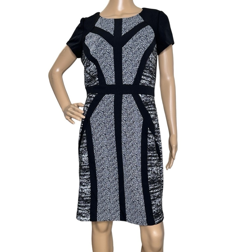 Sandra Darren black and gray dress 8